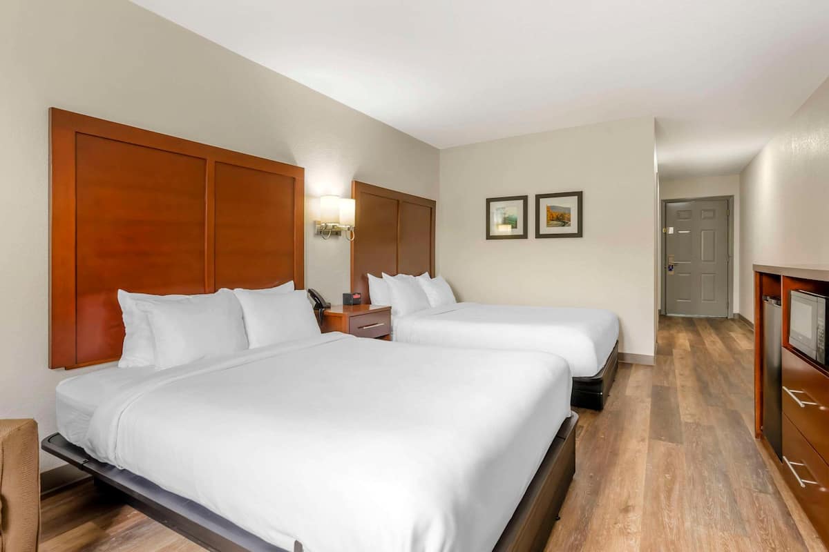 Premium bedding, desk, iron/ironing board, free cots/infant beds