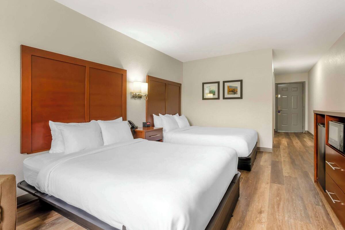 A hotel room with two beds, wooden headboards, a bedside table with a lamp, and a TV.