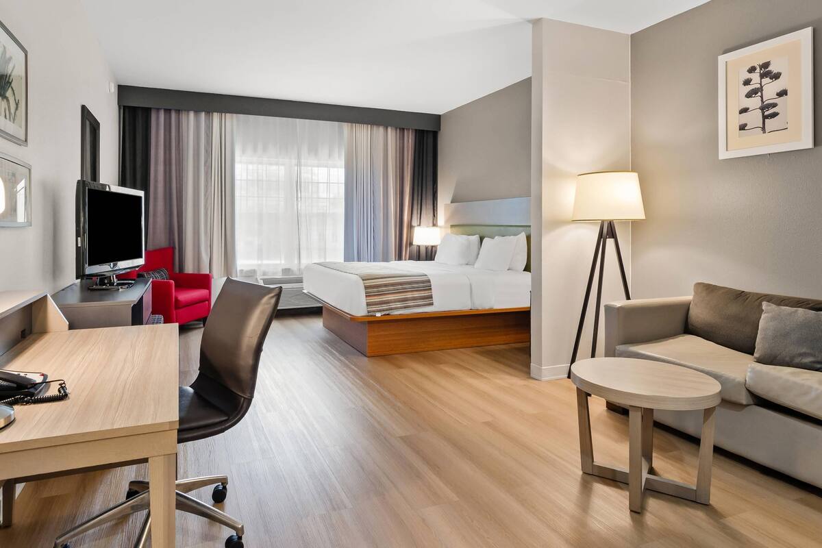 A hotel room with a bed, a desk with a chair, a sofa, a small table, a TV, and a lamp.