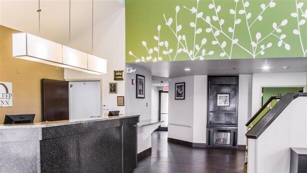 Un hall d'hôtel avec un sol en bois foncé, un comptoir d'accueil et un mur vert orné de motifs de feuilles blanches.