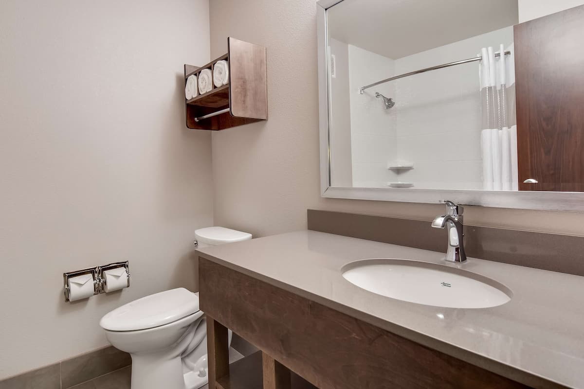 combined shower/bathtub, eco-friendly toiletries, hair dryer, towels