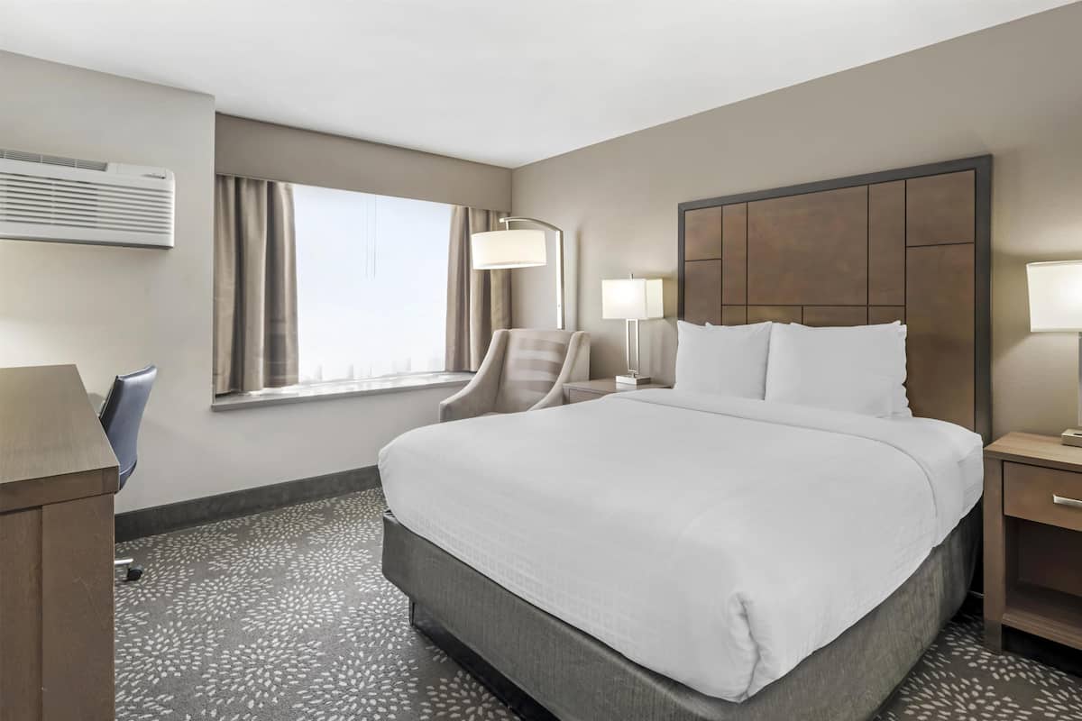 Standard Room, 1 Queen Bed, Non Smoking, Refrigerator & Microwave | Premium bedding, down comforters, desk, laptop workspace