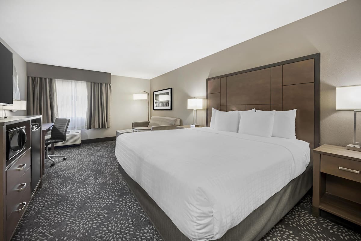 Standard Room, 1 King Bed, Non Smoking, Refrigerator & Microwave (with Sofabed) | Premium bedding, down comforters, desk, laptop workspace