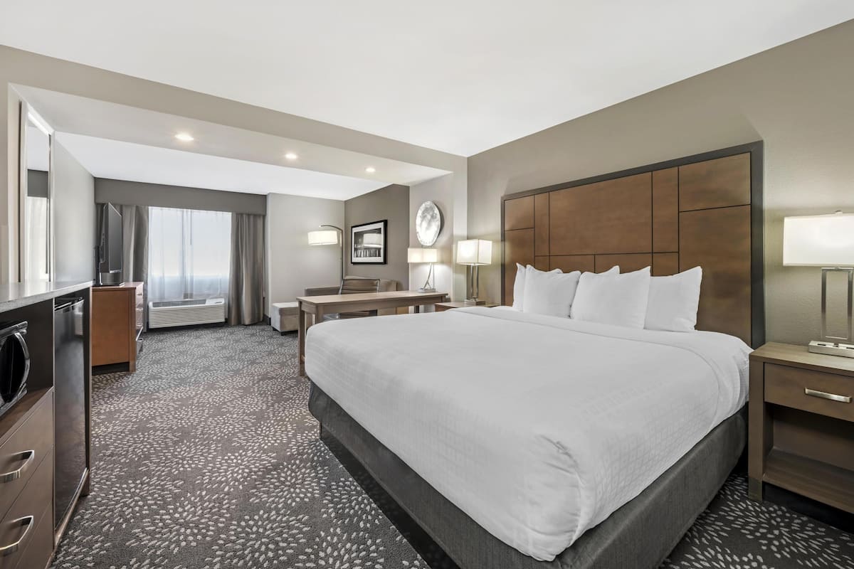 Standard Room, 1 King Bed, Non Smoking, Refrigerator & Microwave (Larger Room;with Sofabed) | Premium bedding, down comforters, desk, laptop workspace