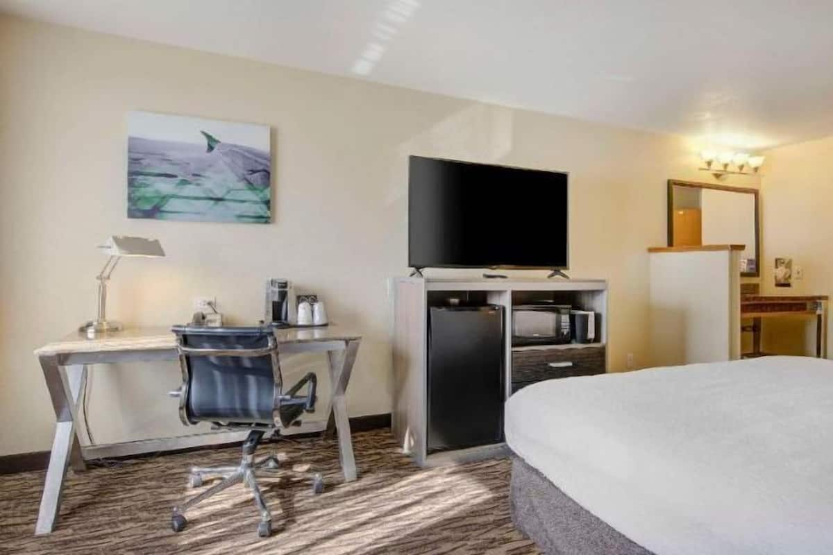 書桌、手提電腦工作空間、熨斗/熨衫板、免費嬰兒床