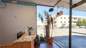 A reception desk with a plant, a wooden counter, and a view of a parking lot and buildings outside. - Travelers Inn by OYO Longview Kelso (Longview)