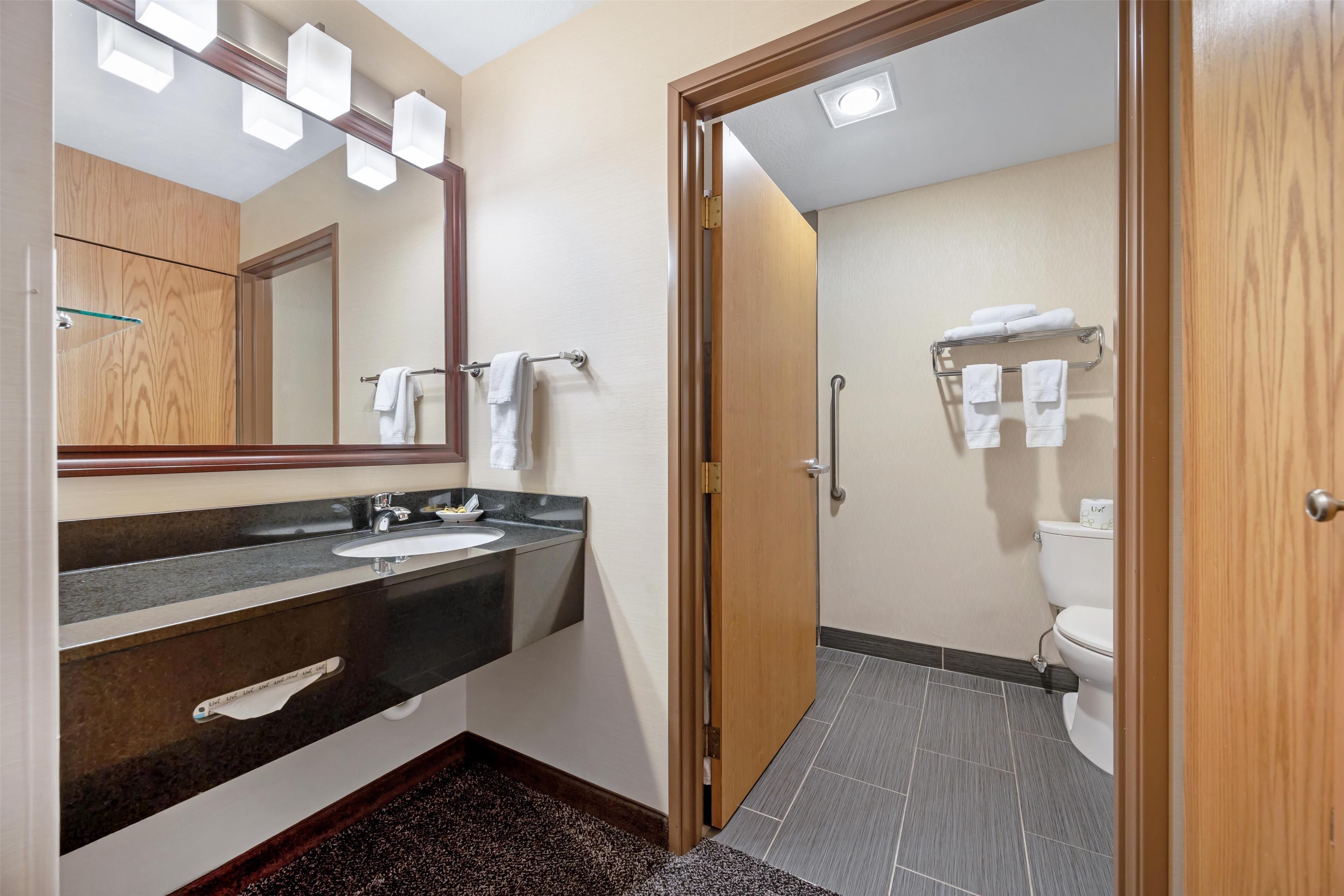 Un baño moderno con tocador de madera, un espejo grande y un inodoro con toallero.