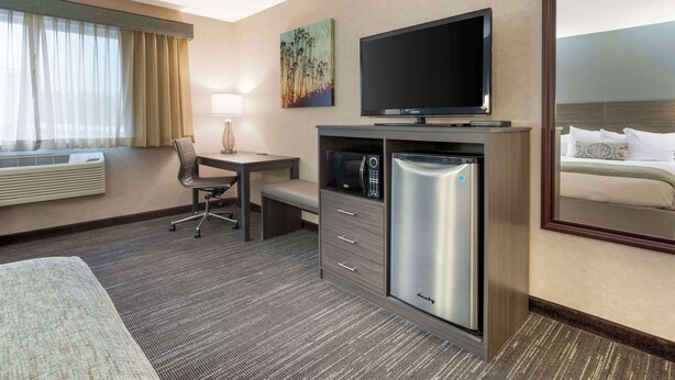 A hotel room with a bed, a desk with a chair, a television, a microwave, and a refrigerator.