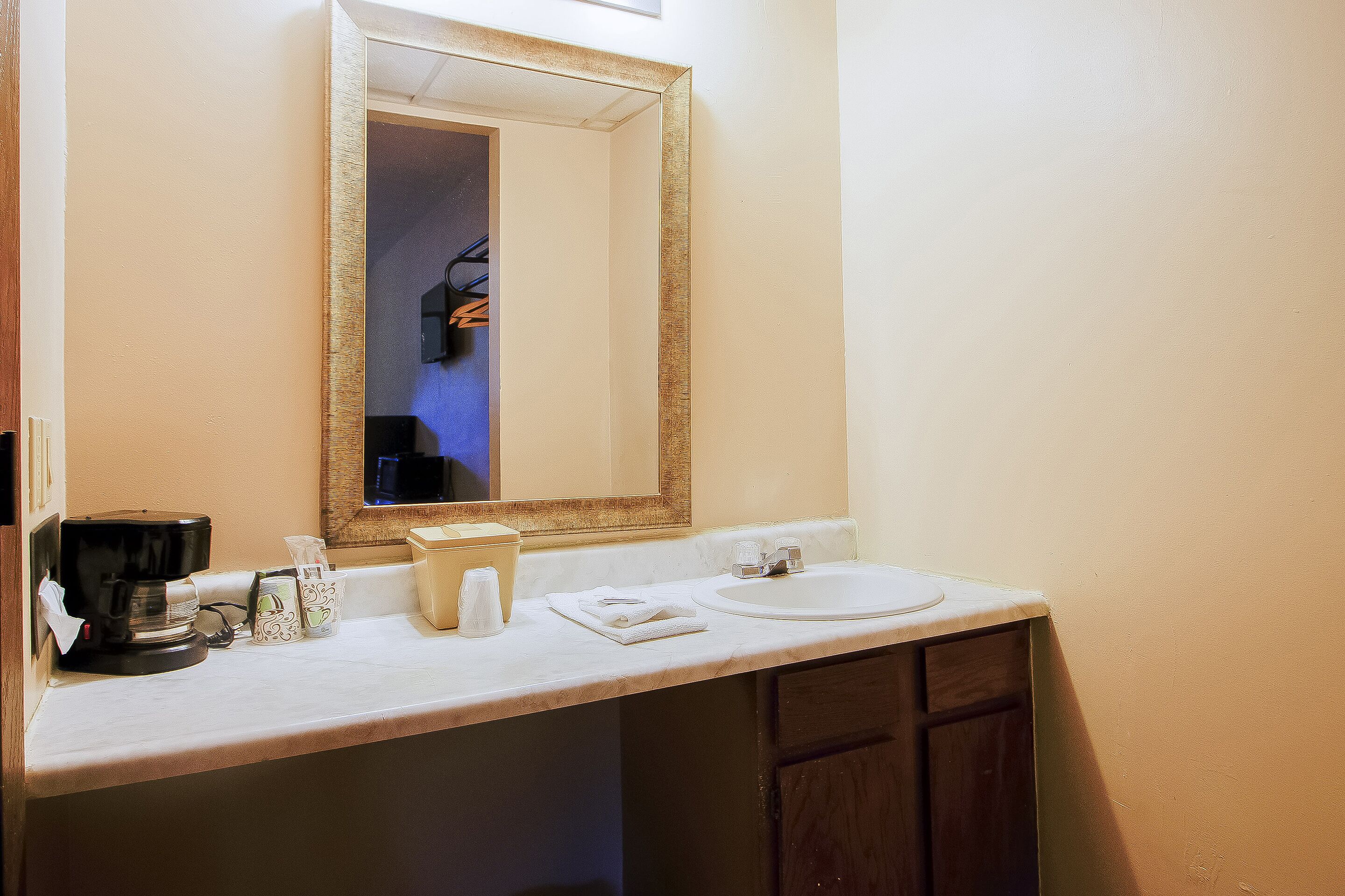 A bathroom with a white sink, a mirror with a gold frame, and a coffee maker on the counter.