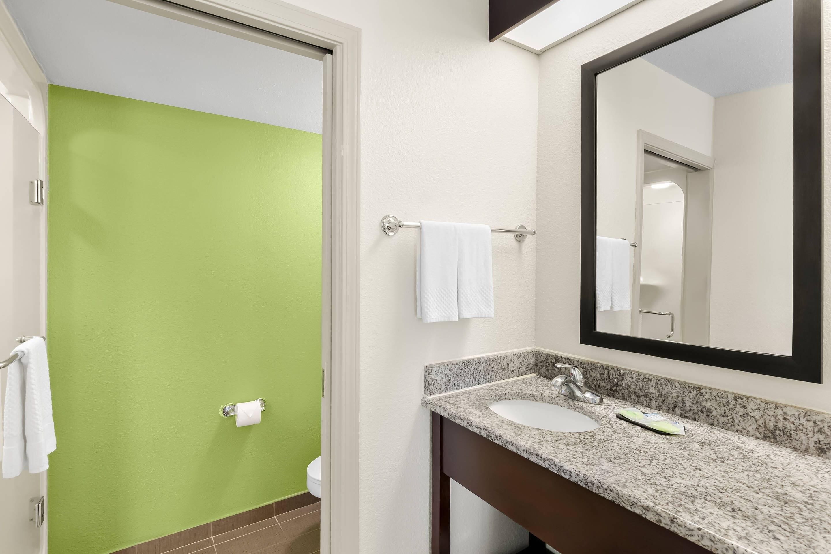 Een badkamer met een groene wand, een wit wastafel en een grote spiegel.