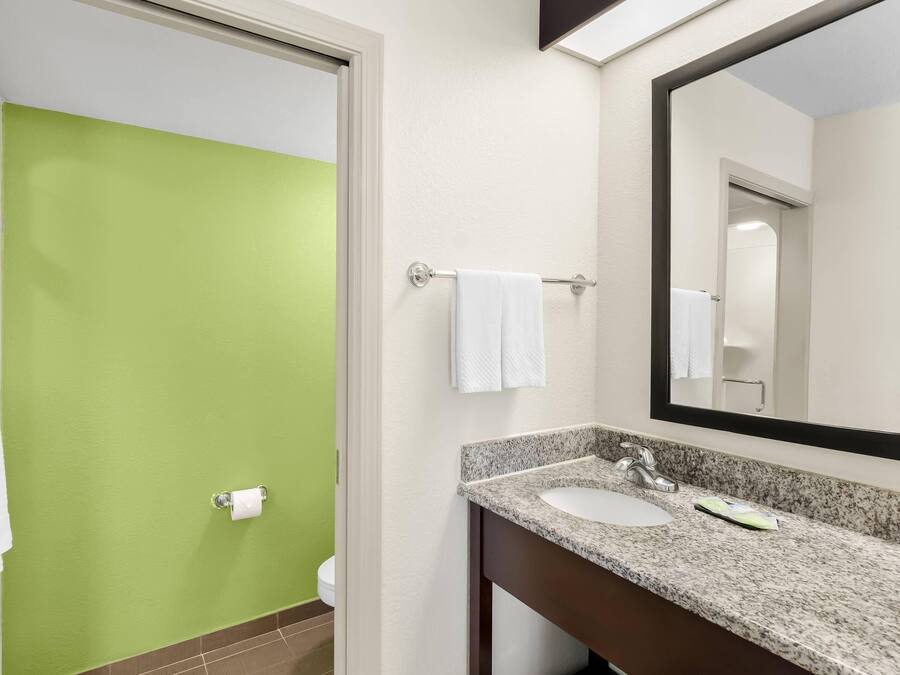 A bathroom with a green wall, a white sink, and a large mirror.
