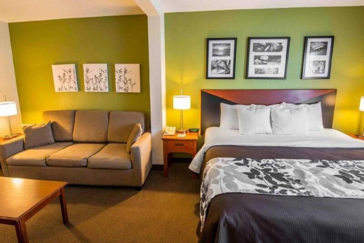 A hotel room with a sofa, a bed, a nightstand, and wall art.