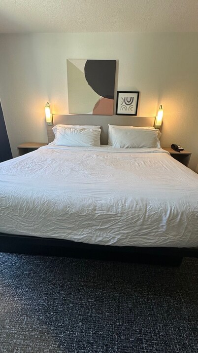 Stay Suites