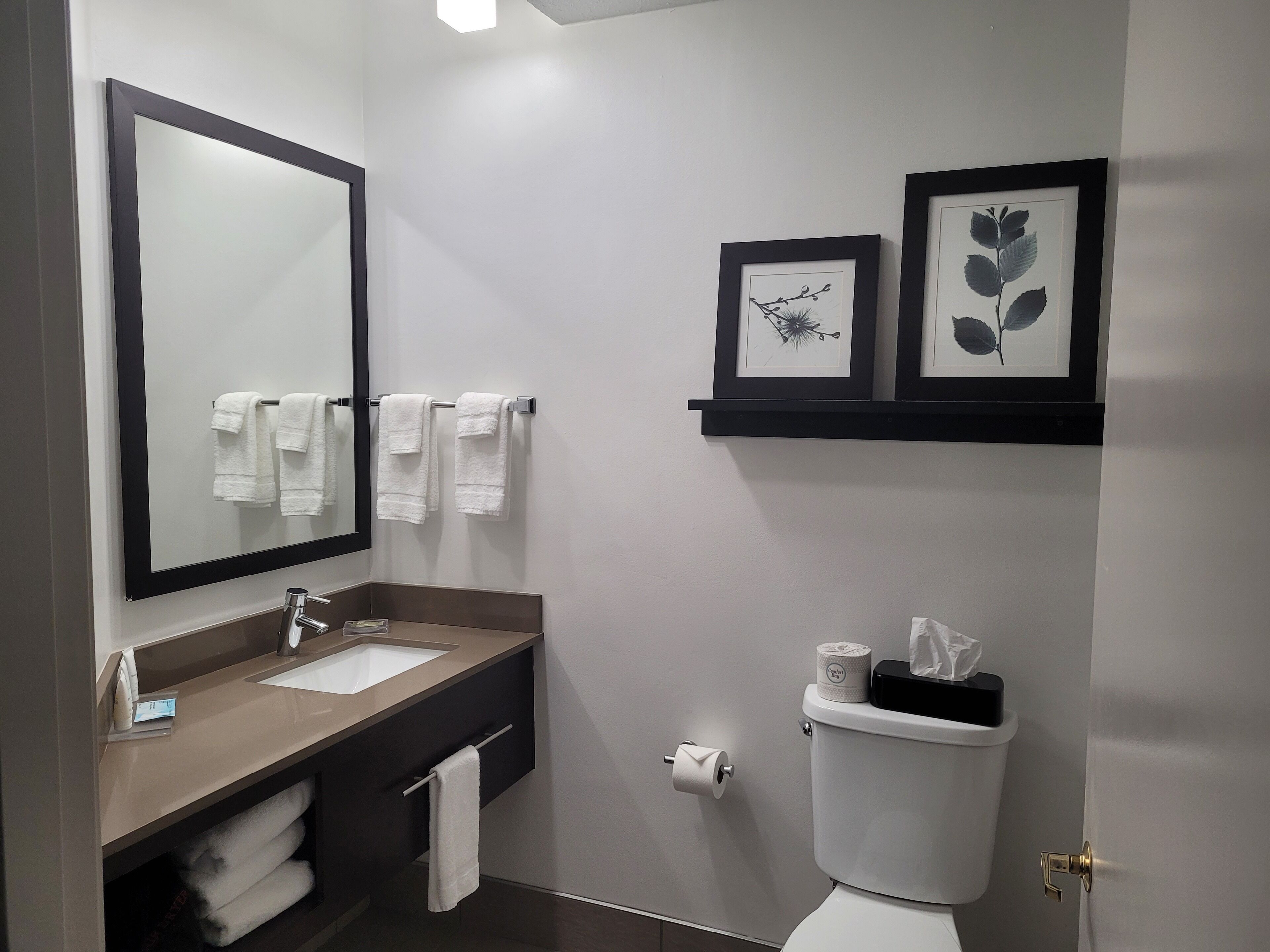 combined shower/bathtub, free toiletries, hair dryer, towels