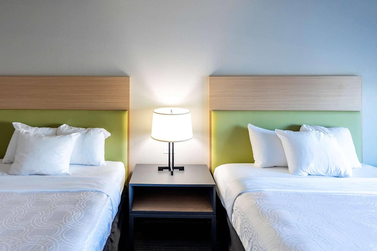 Ropa de cama hipoalergénica, cubrecamas, escritorio y cortinas blackout