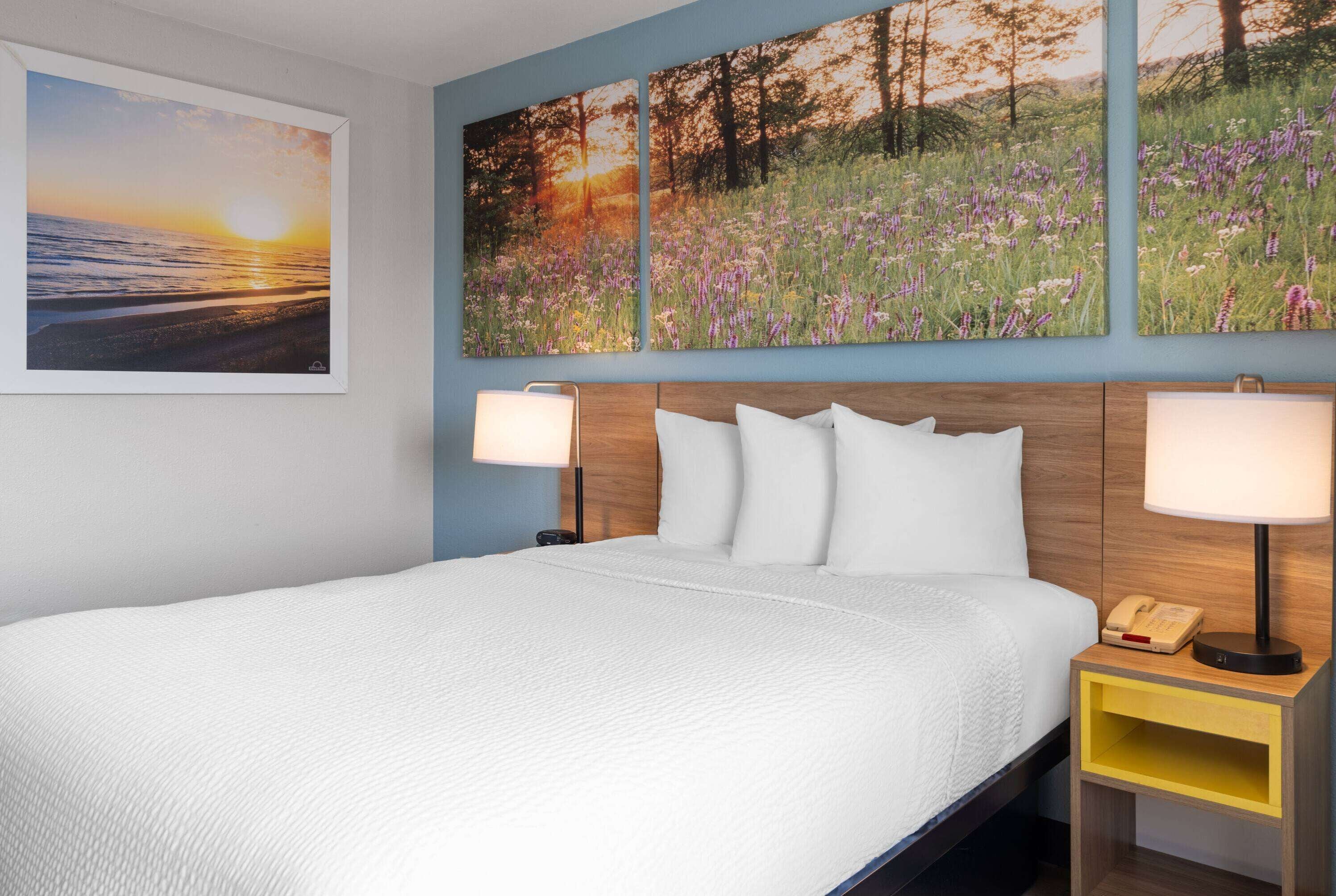 A hotel room with a large bed, two bedside lamps, a nightstand, and three wall-mounted paintings depicting nature scenes.