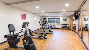 A gym with cardio machines, weight racks, and a window with a city view.