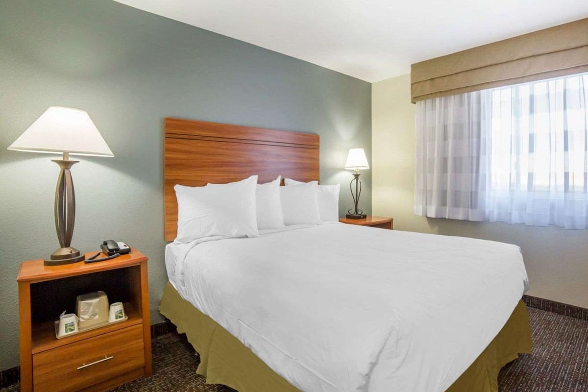 standard room, 2 double beds, non smoking | desk, blackout curtains, iron/ironing board, free cots/infant beds