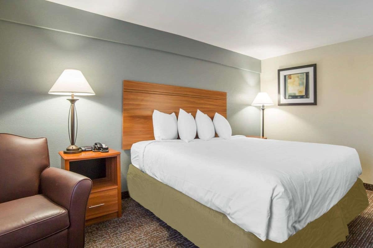 standard room, 1 king bed, non smoking | desk, blackout curtains, iron/ironing board, free cots/infant beds