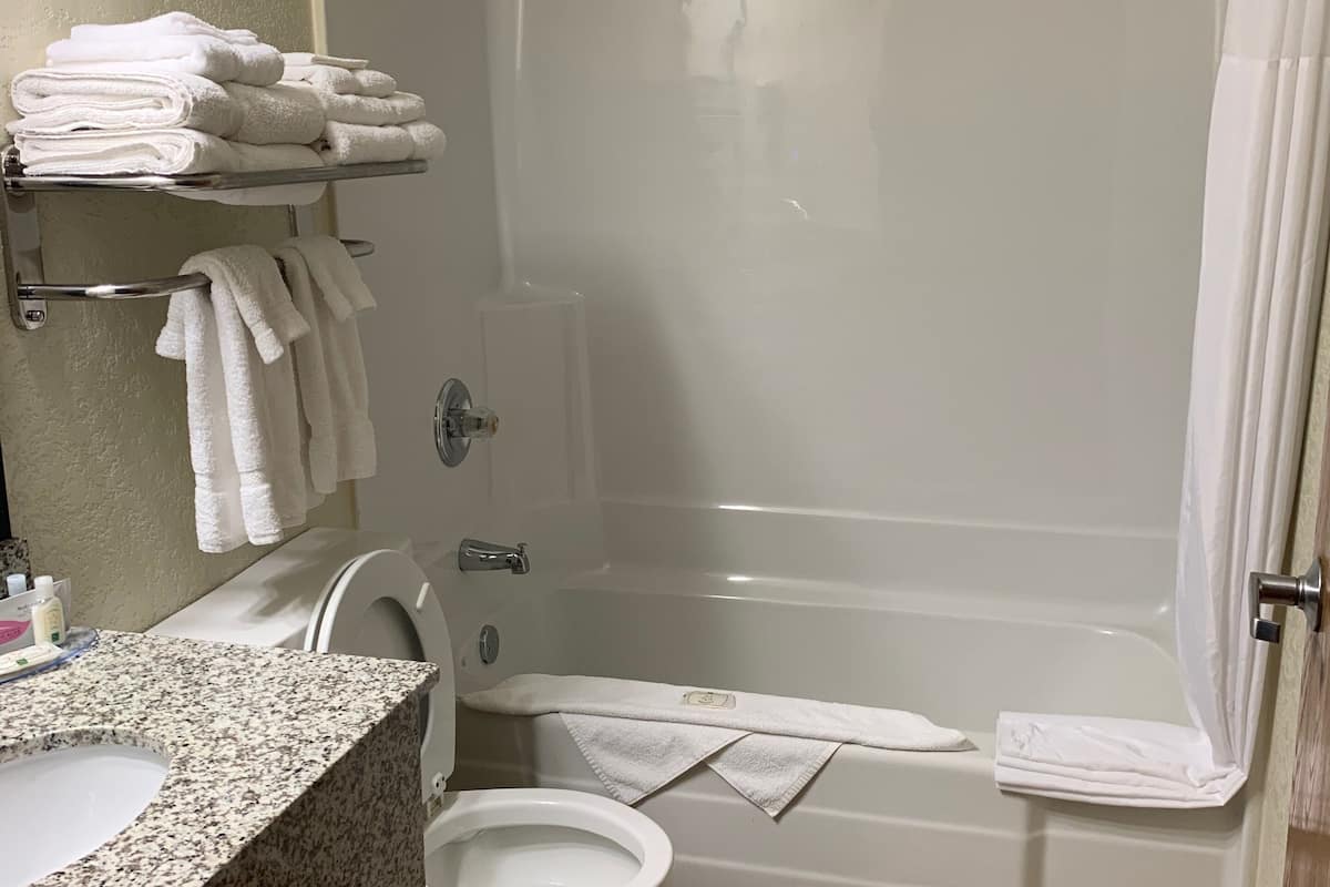 combined shower/bathtub, free toiletries, hair dryer, towels