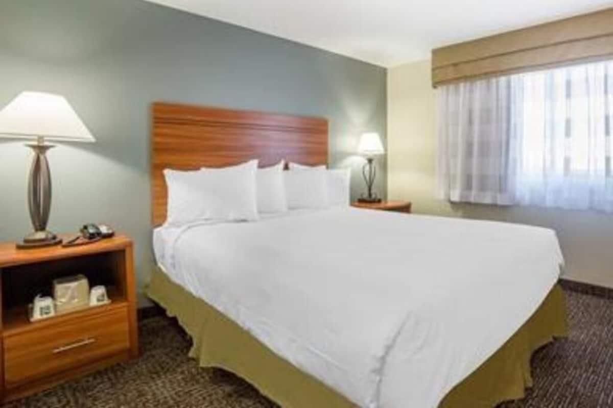 Une chambre d’hôtel avec un grand lit, deux tables de chevet, une lampe sur chaque table et une fenêtre avec des rideaux.