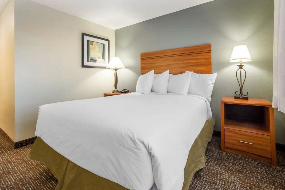 Une chambre d’hôtel avec un lit, deux tables de chevet, une lampe sur chaque table, un tableau encadré au mur et un sol recouvert de moquette.