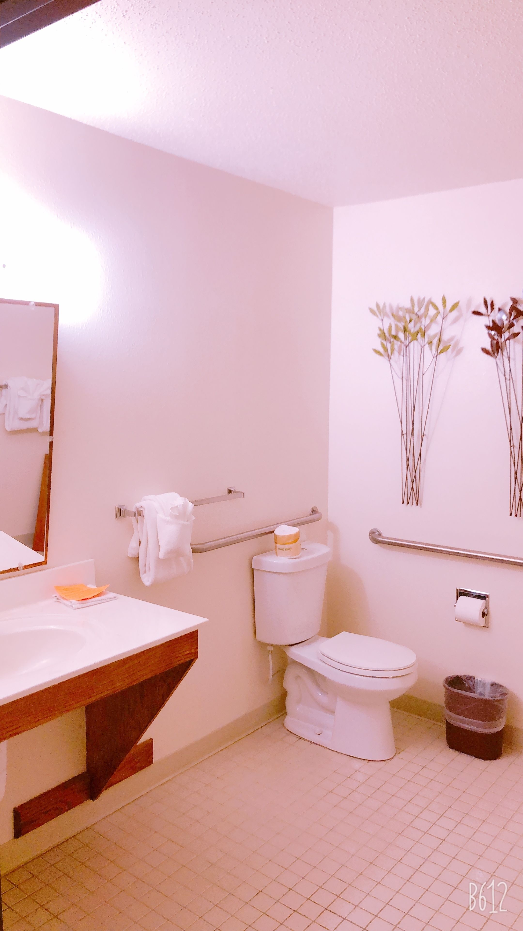 Une salle de bain avec un lavabo blanc, des toilettes et une barre d’appui. On y trouve également une poubelle et un porte-serviettes avec des serviettes.