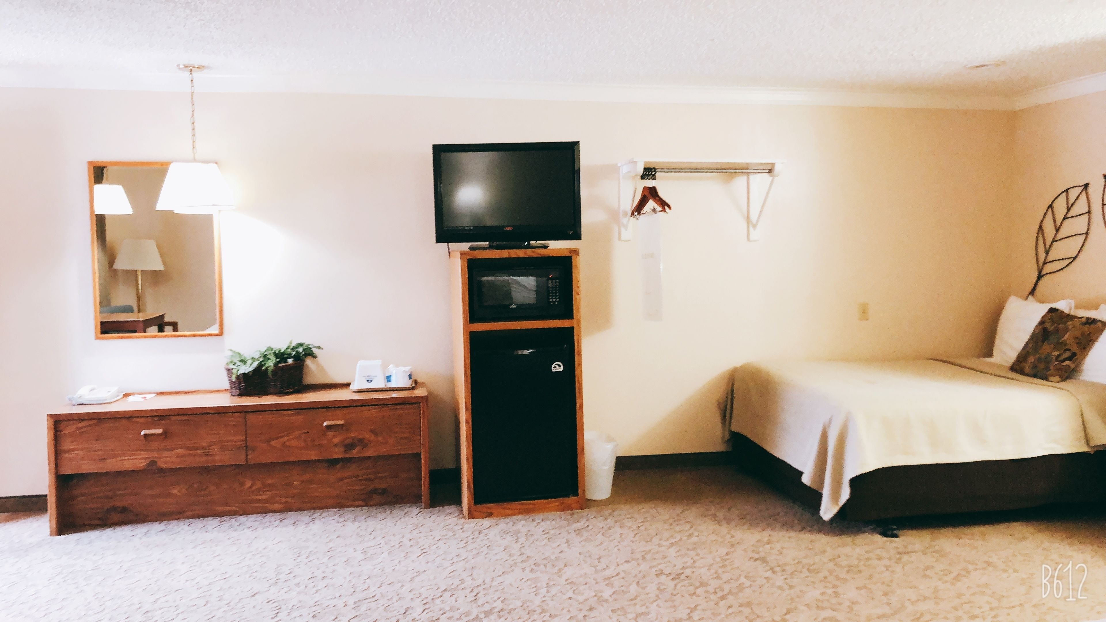 A bedroom with a bed, a wooden dresser, a television on a stand, a microwave, and a small shelf with a plant and some items.