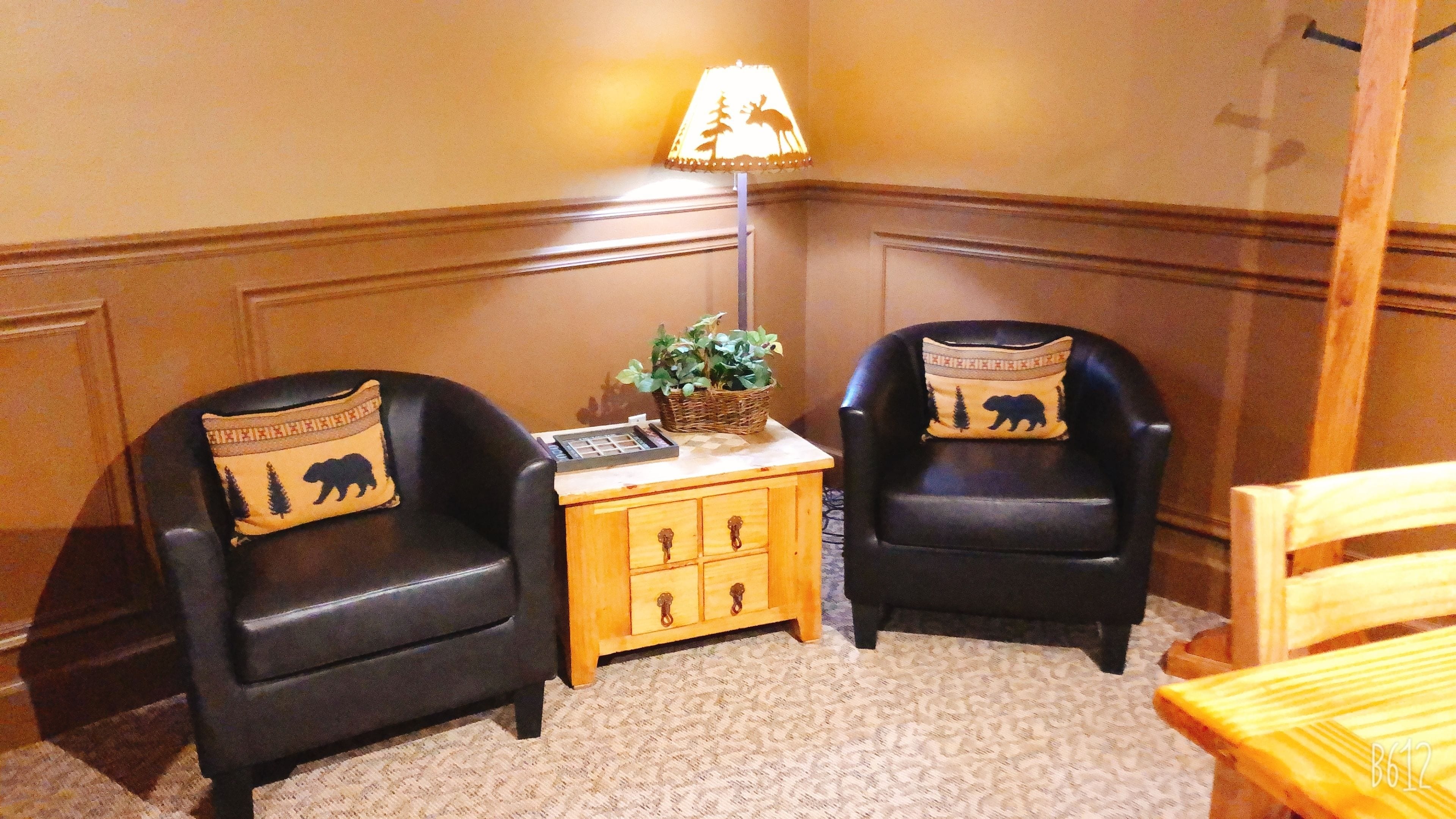 Two black leather armchairs with elephant-themed cushions, a small wooden side table with a basket and a lamp, and a wooden chair.