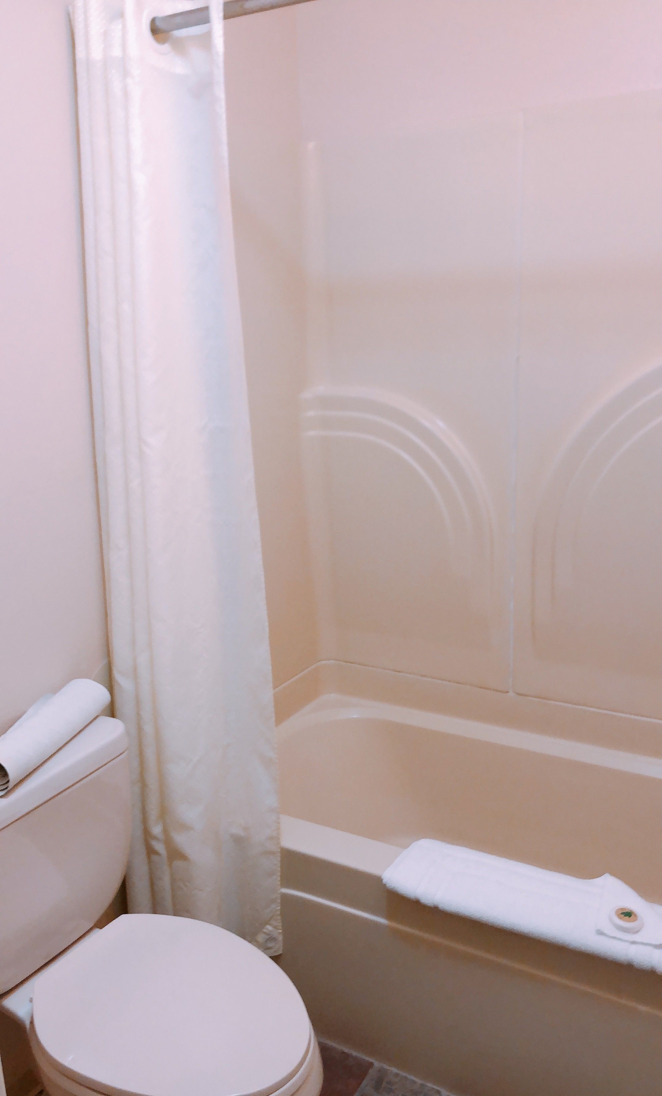 A bathroom with a toilet, a shower with a glass door, and a bathtub.