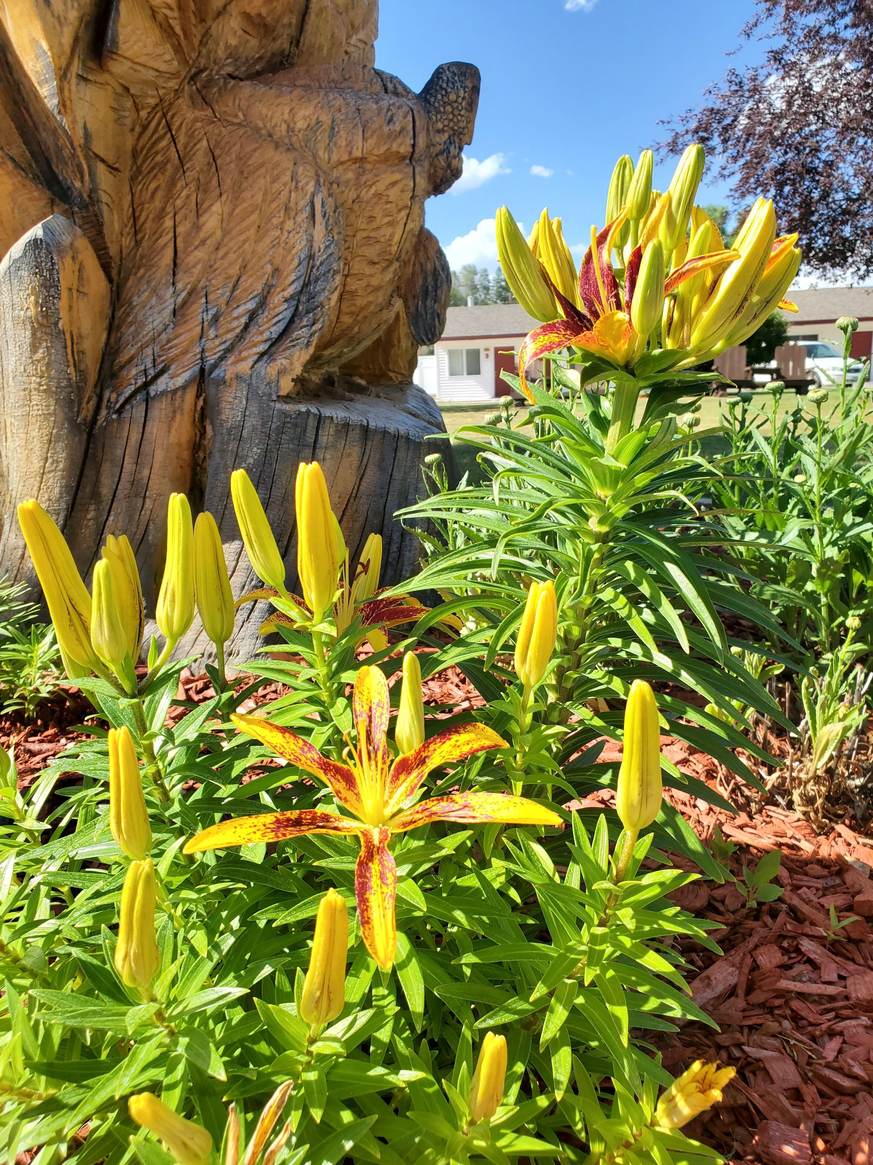 A garden with a large tree stump sculpture and blooming yellow flowers.