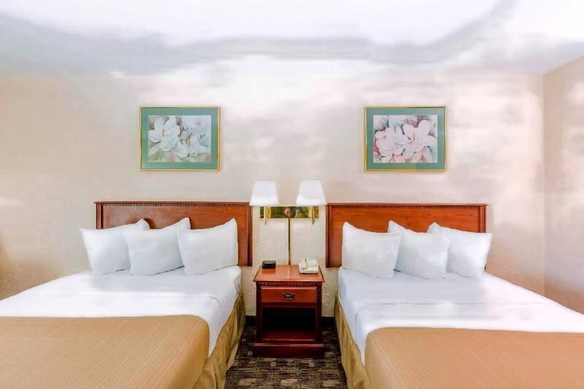 A hotel room with two beds, a nightstand with a lamp, and two framed floral paintings on the wall.