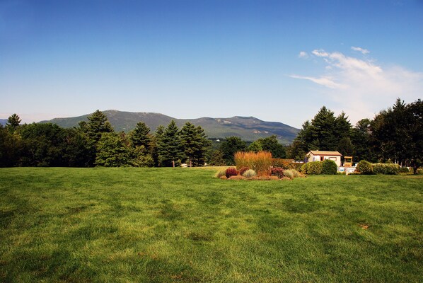Un campo cubierto de hierba con una casa y montañas al fondo.