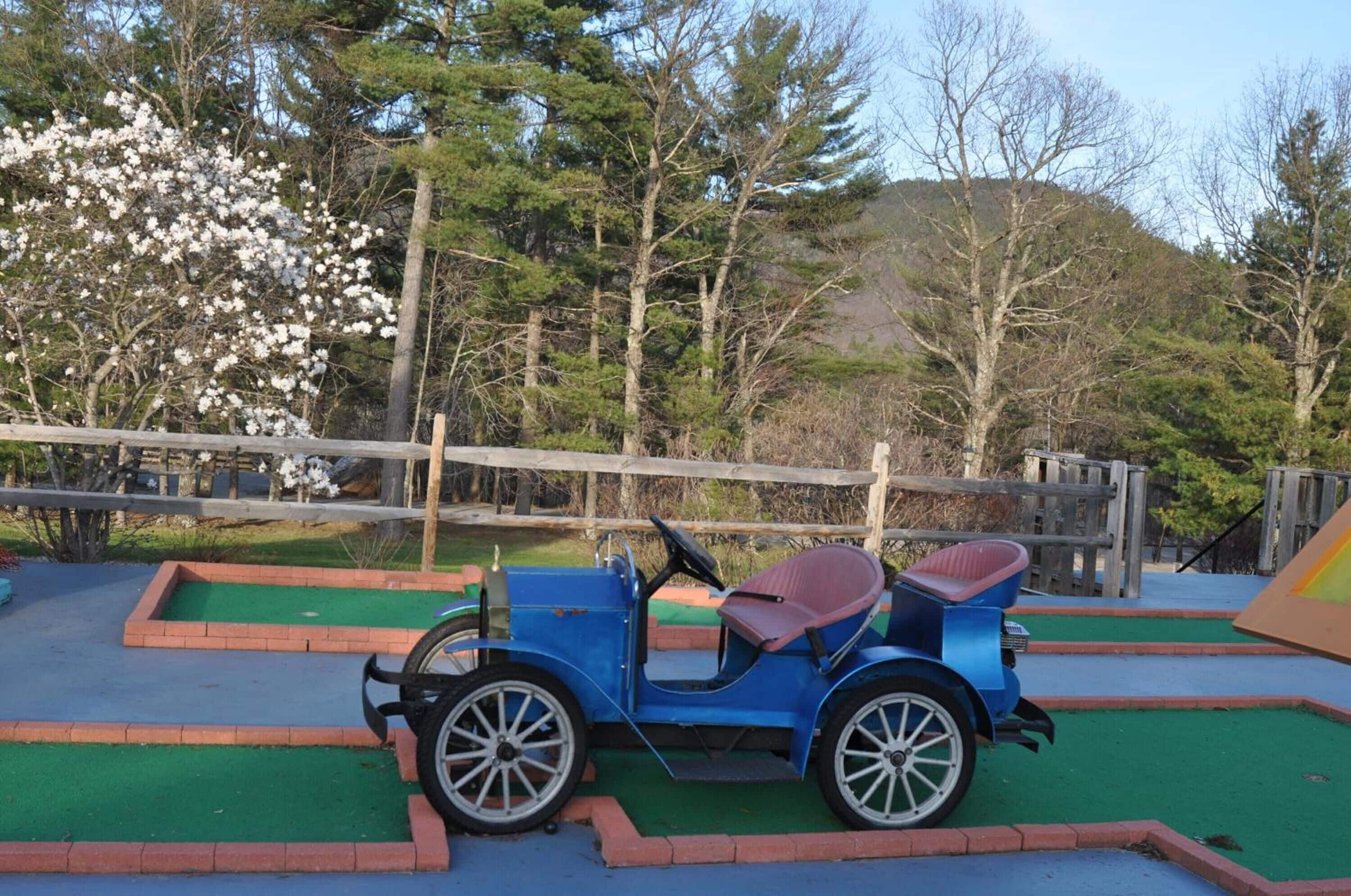 Ein blauer Oldtimer mit rotem Sitz auf einer Grünfläche, im Hintergrund ein Holzzaun.