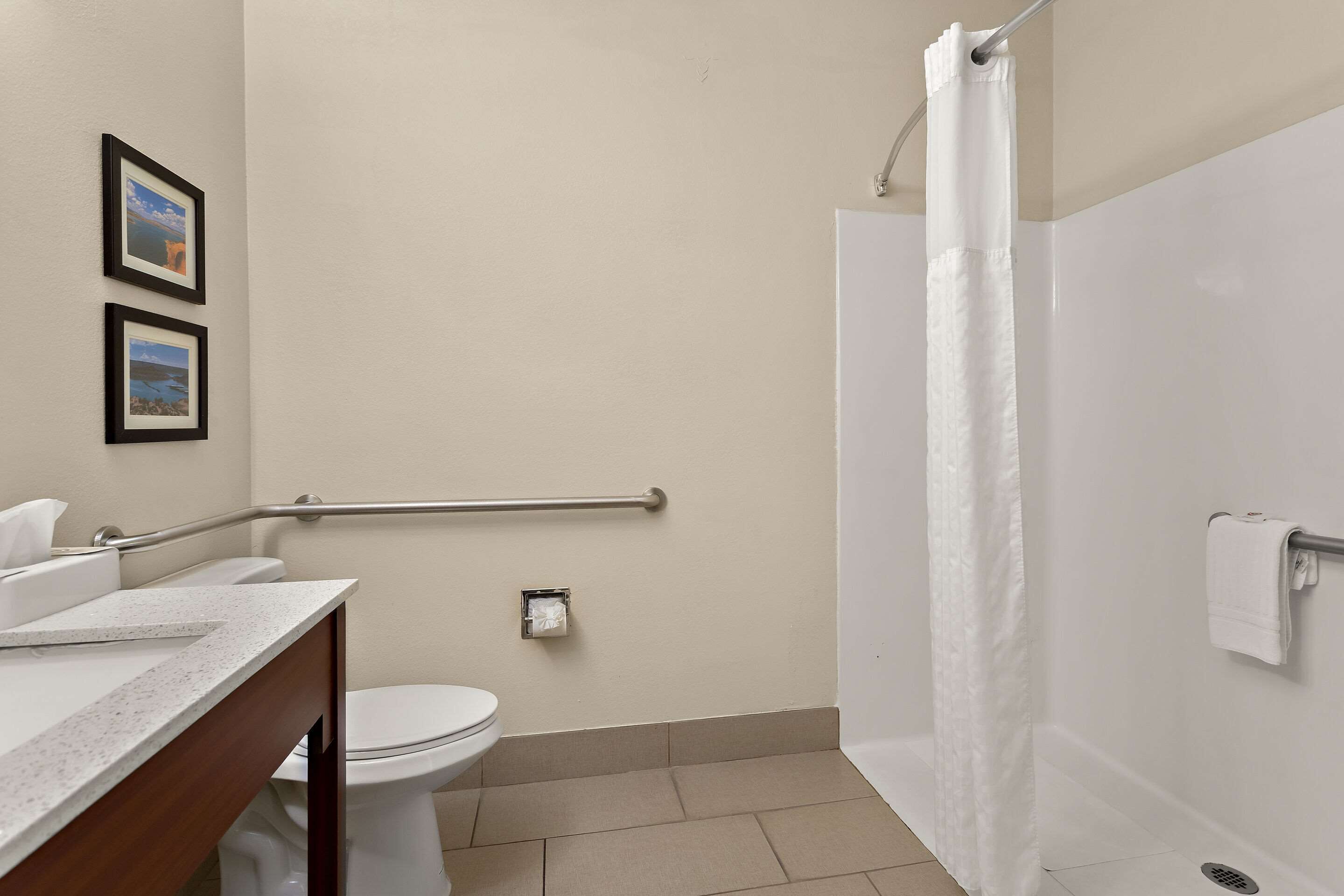 A bathroom with a toilet, a sink, a shower with a white curtain, and two framed pictures on the wall.