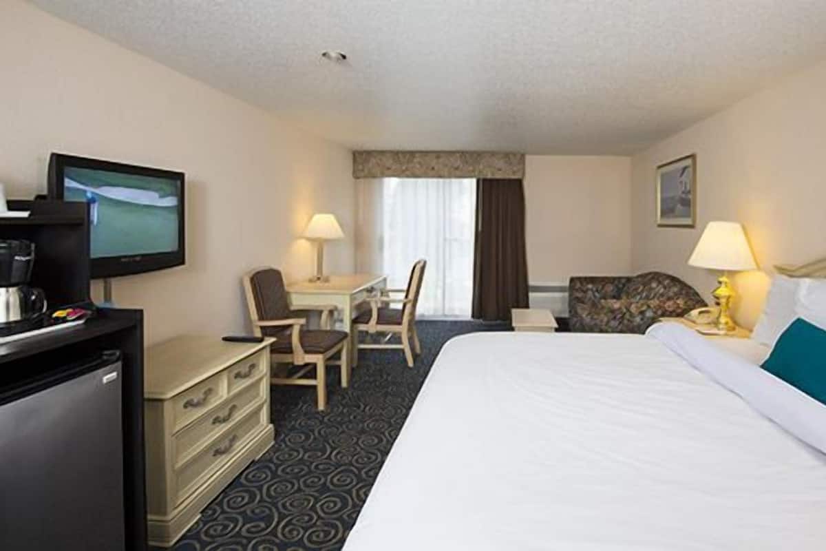 Standard Room, 1 King Bed with Sofa bed, Jetted Tub | In-room safe, iron/ironing board, free WiFi, bed sheets