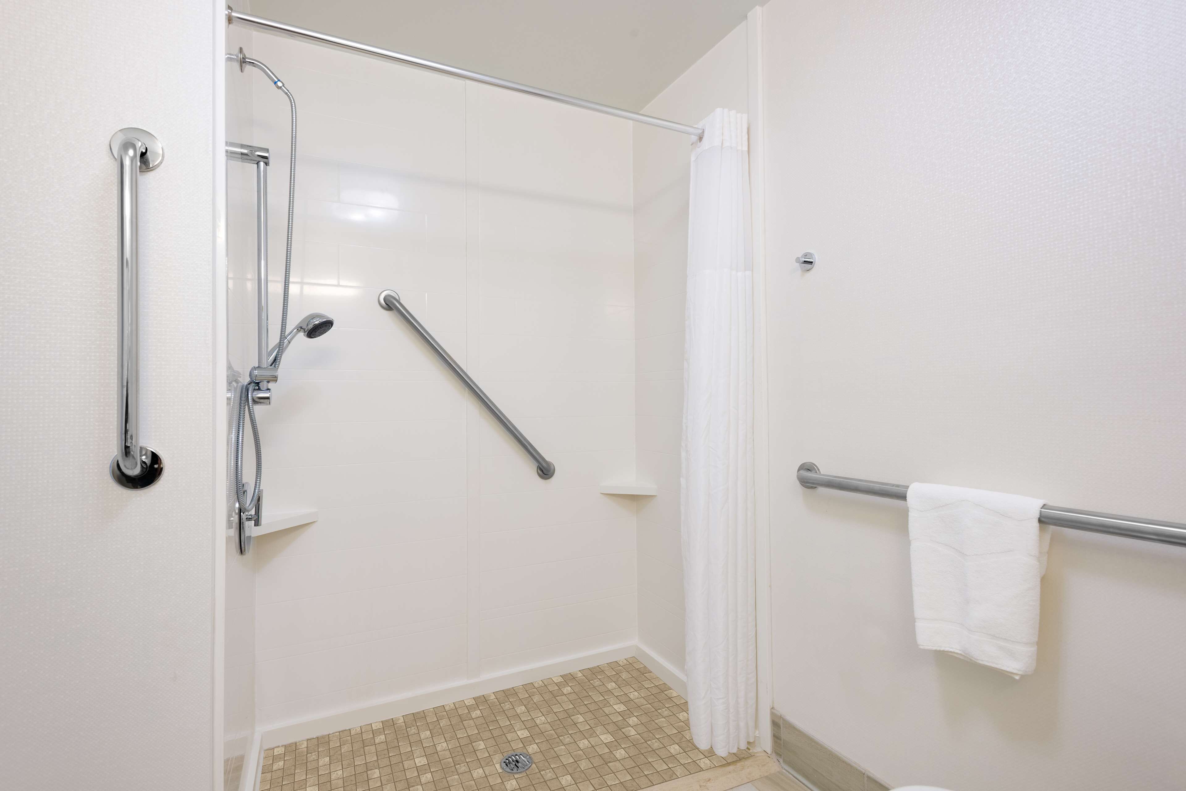room, 1 king bed, accessible, non smoking | bathroom shower
