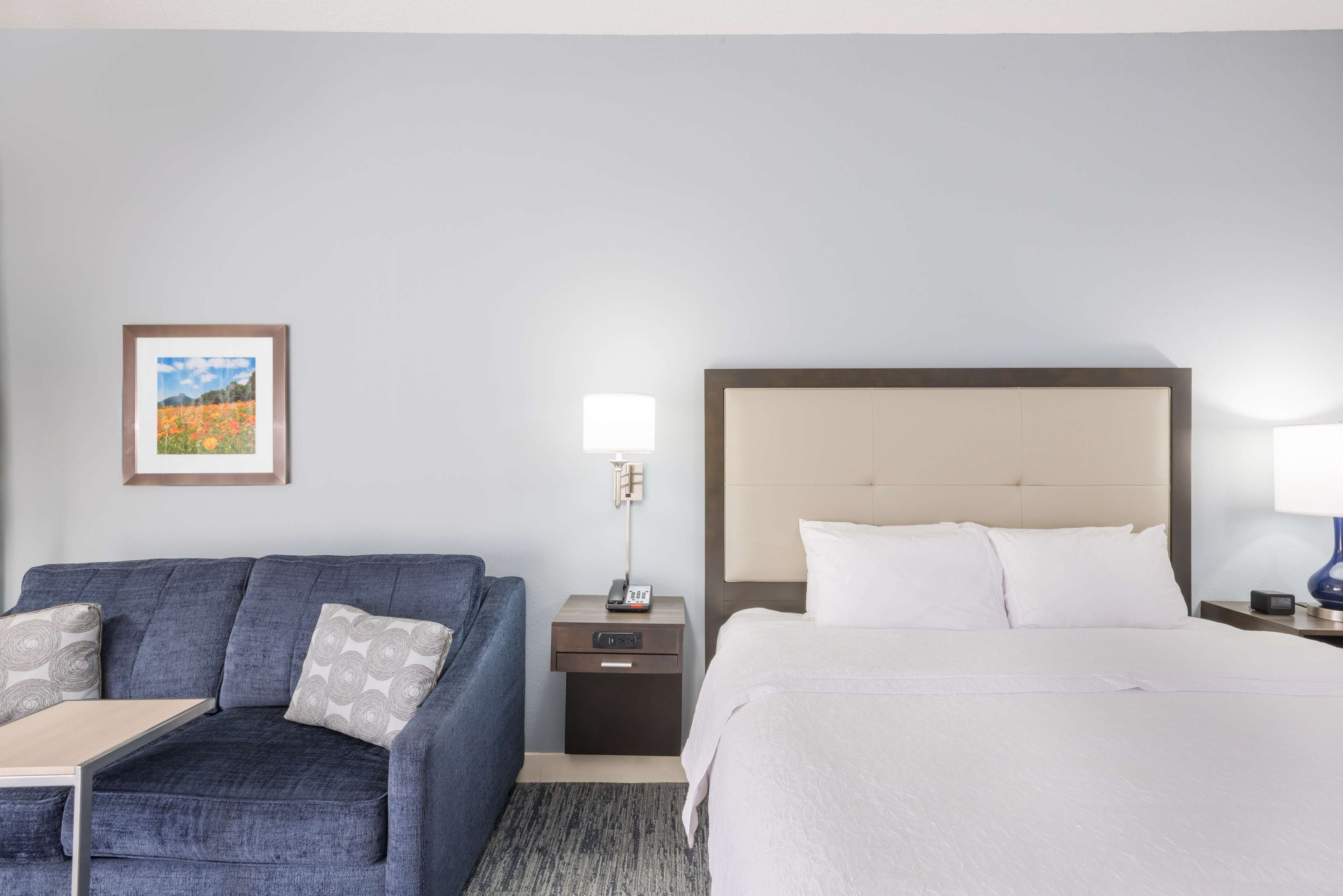 Une chambre d’hôtel avec un lit, un canapé, une table de chevet, une lampe et un tableau encadré au mur.