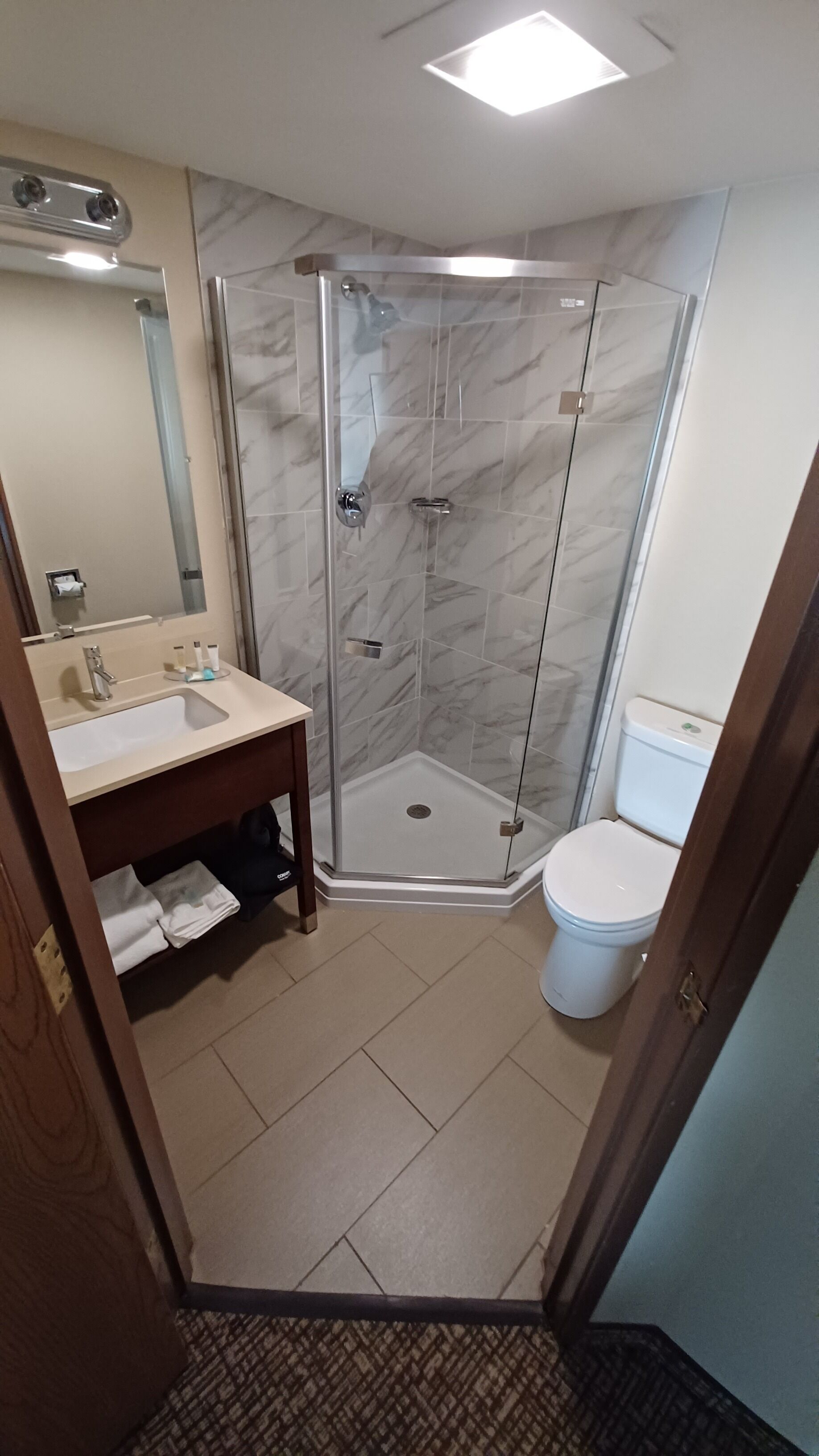 A modern bathroom with a glass-enclosed shower, a sink with a mirror, and a toilet.