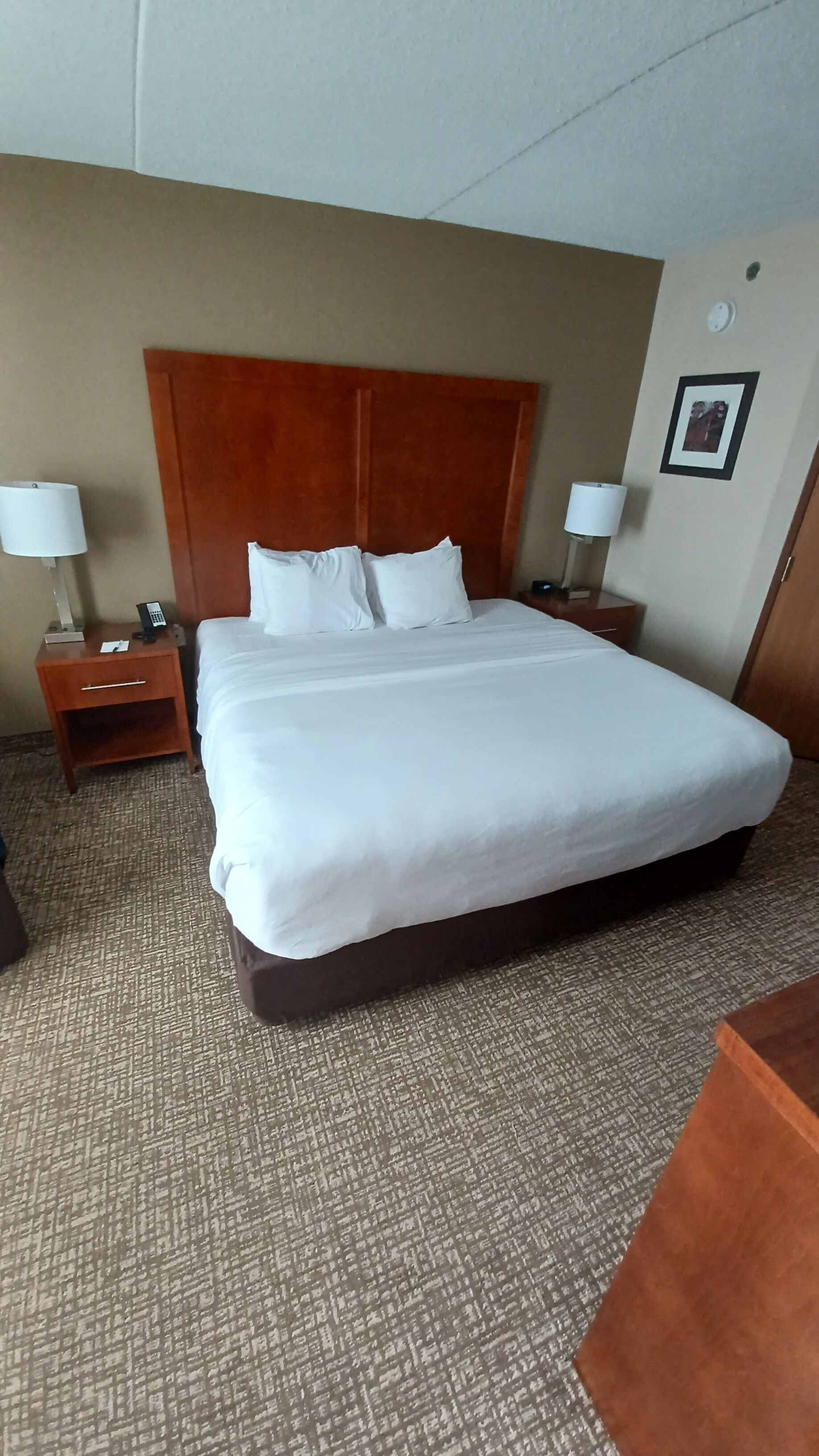 Habitación de hotel con una cama grande, dos mesitas de noche con lámparas, cabecera de madera y piso alfombrado.