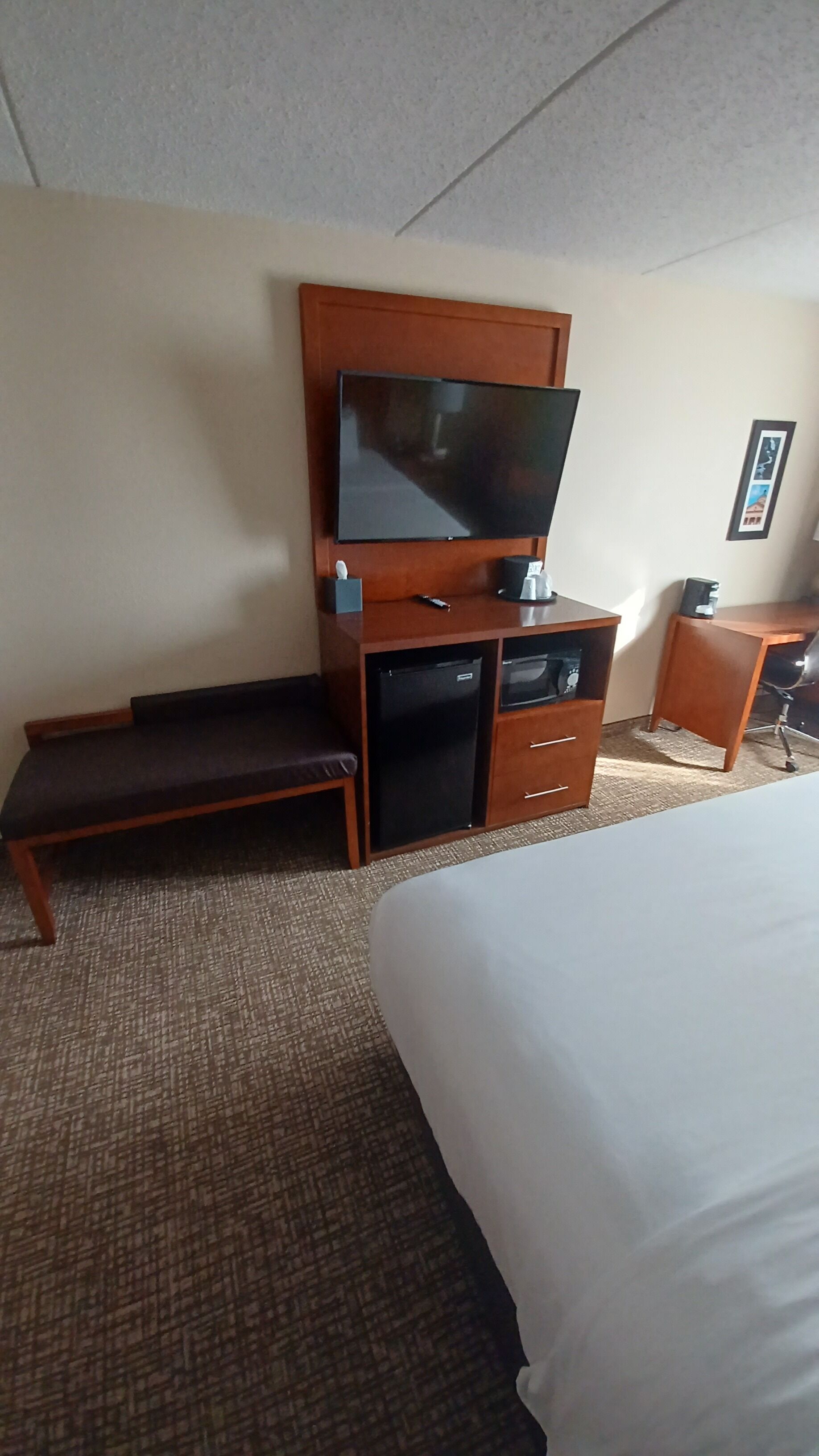 Een hotelkamer met een bed, een bureau, een televisie, een kleine koelkast en een bank.