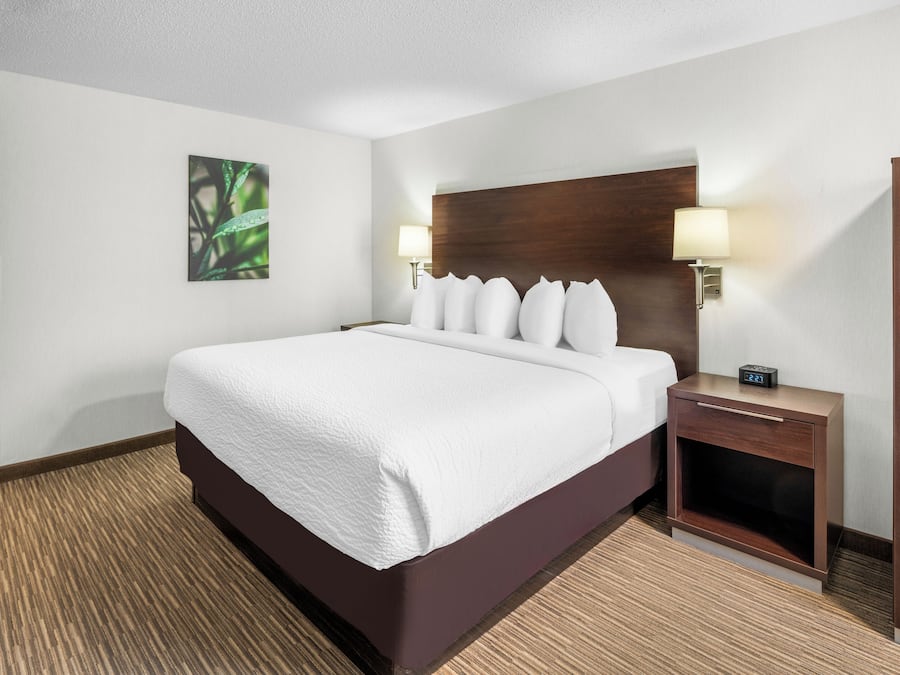 A hotel room with a large bed, two bedside tables, a wooden headboard, a wall-mounted lamp, and a clock.