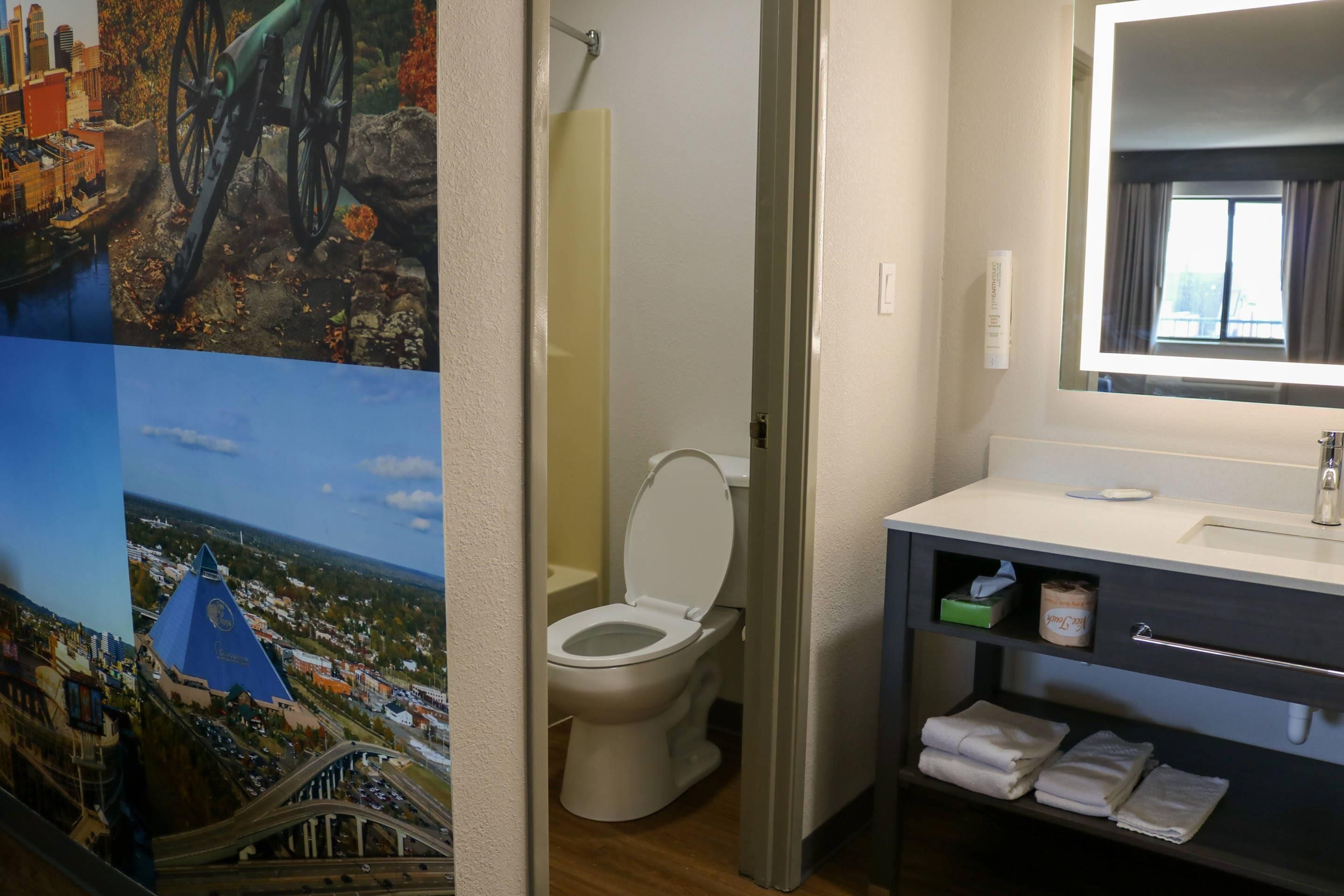 A bathroom with a toilet, a sink, and a mirror.