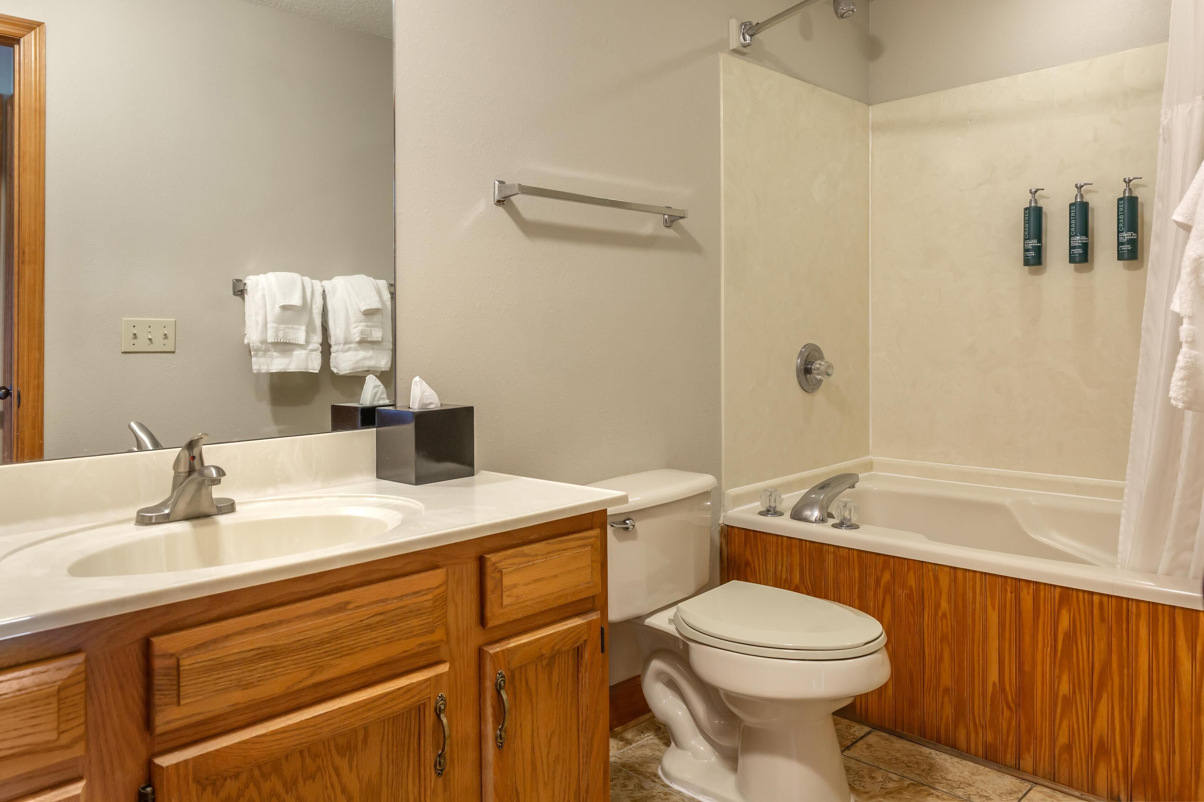 Une salle de bain avec un lavabo, des toilettes et une baignoire.