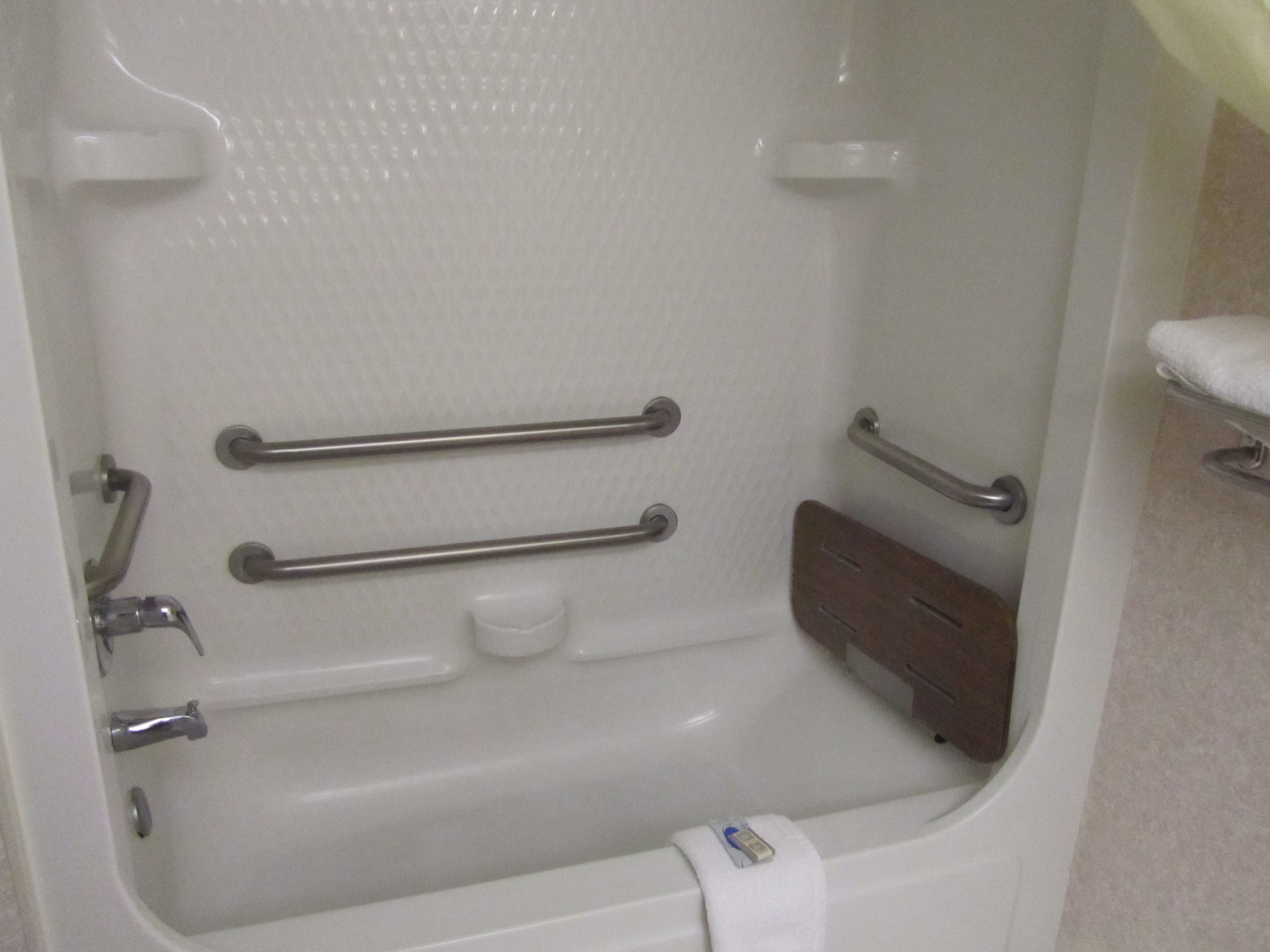A bathtub with grab bars and a handheld showerhead.