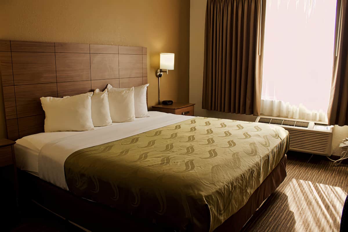 Standard Room, 1 Katil Raja (King) | Tilam berlapik, meja, seterika/papan seterika, Wi-fi percuma