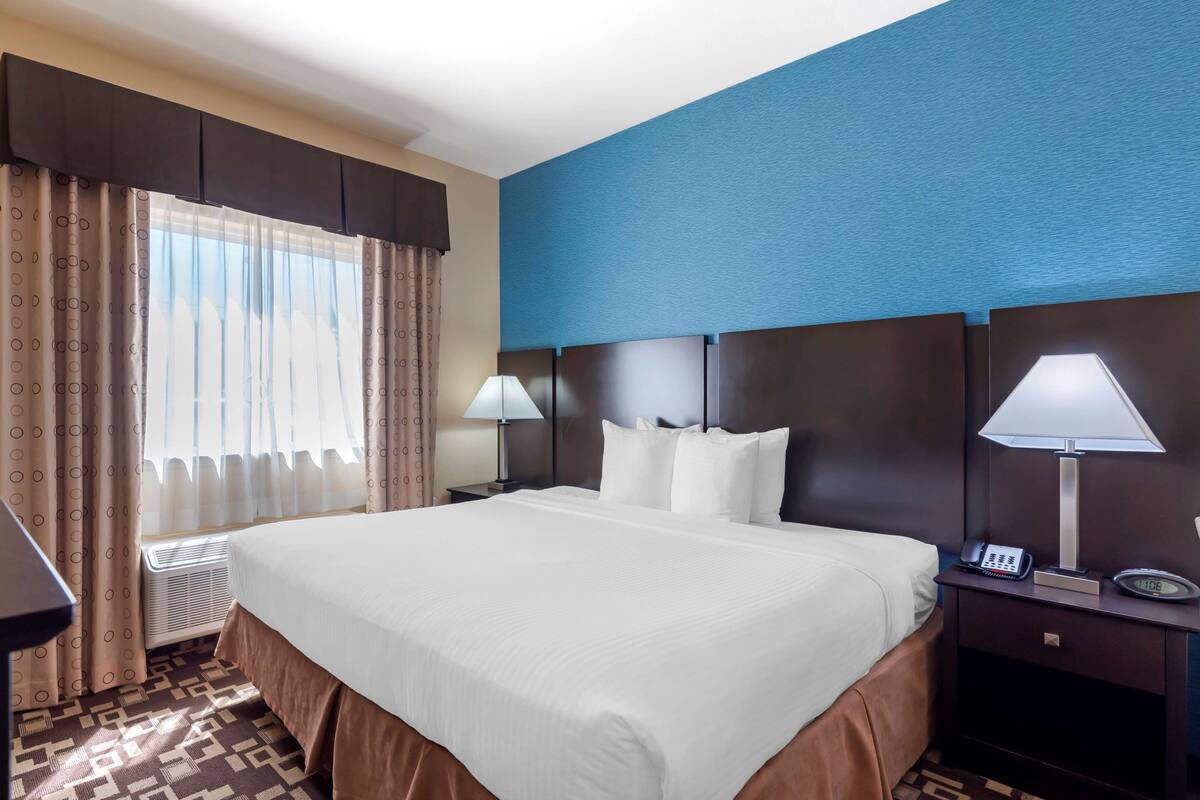 Une chambre d’hôtel avec un grand lit, deux tables de chevet avec des lampes, un radiateur et une fenêtre avec des rideaux.