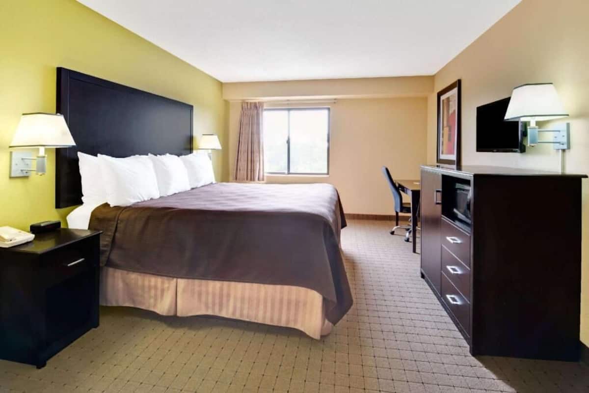 Desk, blackout curtains, free cots/infant beds, free WiFi