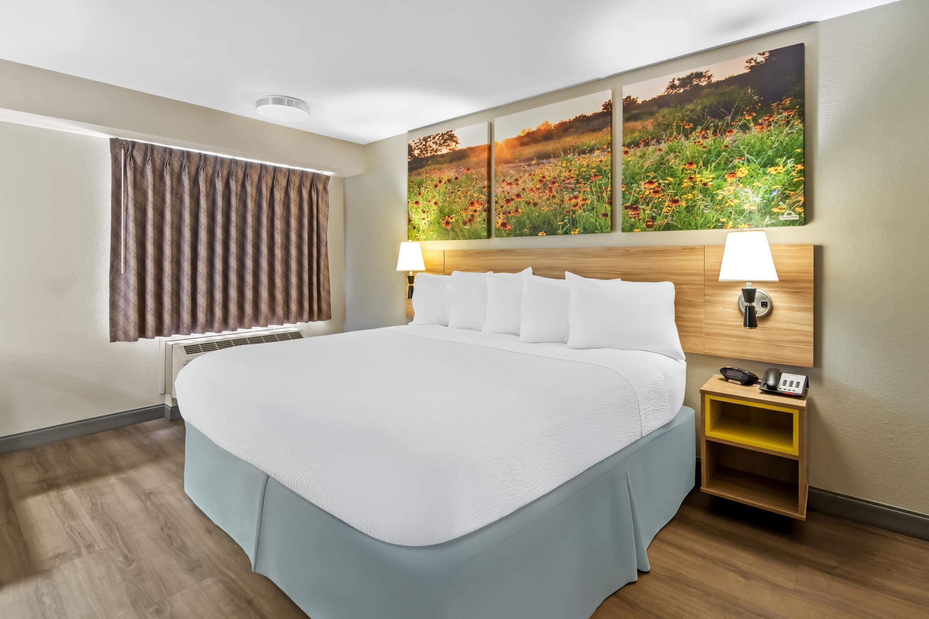 A hotel room with a large bed, two bedside lamps, a nightstand with a phone, and a wall-mounted painting of a field.