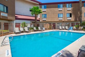 Seasonal outdoor pool, pool umbrellas, sun loungers